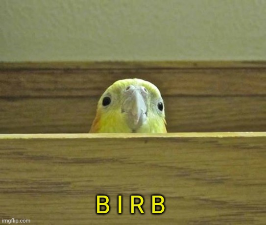 The Birb | B I R B | image tagged in the birb | made w/ Imgflip meme maker