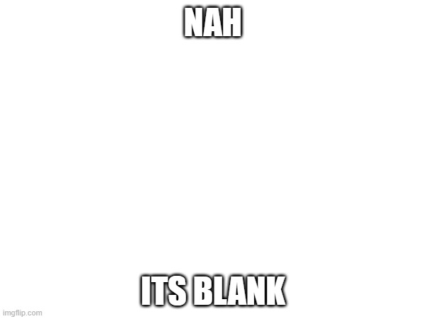 I like this lol | NAH; ITS BLANK | image tagged in memes | made w/ Imgflip meme maker