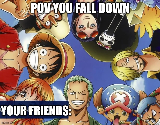 pov | POV YOU FALL DOWN; YOUR FRIENDS: | image tagged in one piece,pov,falling down | made w/ Imgflip meme maker