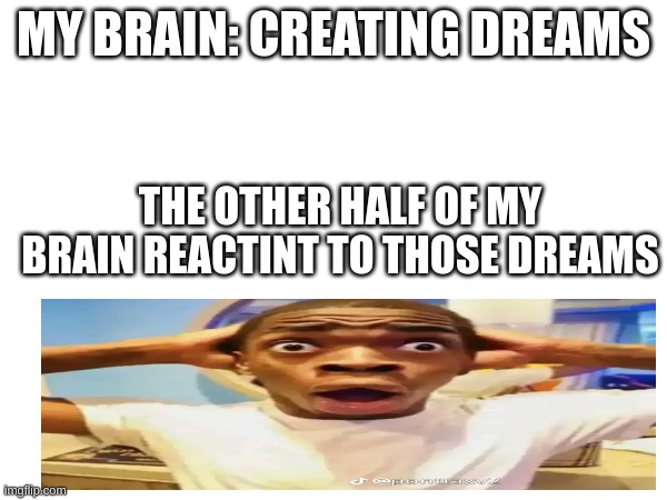 MY BRAIN: CREATING DREAMS; THE OTHER HALF OF MY BRAIN REACTINT TO THOSE DREAMS | image tagged in funny | made w/ Imgflip meme maker