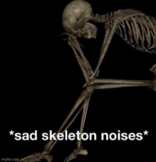 Sad skeleton noises | image tagged in sad skeleton noises | made w/ Imgflip meme maker