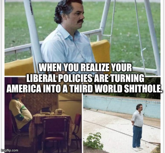 WHEN YOU REALIZE YOUR LIBERAL POLICIES ARE TURNING AMERICA INTO A THIRD WORLD SHITHOLE. | made w/ Imgflip meme maker