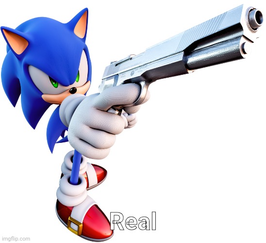 Sonic with a gun | Real | image tagged in sonic with a gun | made w/ Imgflip meme maker