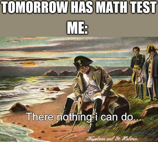 Napoleon | TOMORROW HAS MATH TEST; ME:; There nothing i can do... | image tagged in napoleon,memes | made w/ Imgflip meme maker