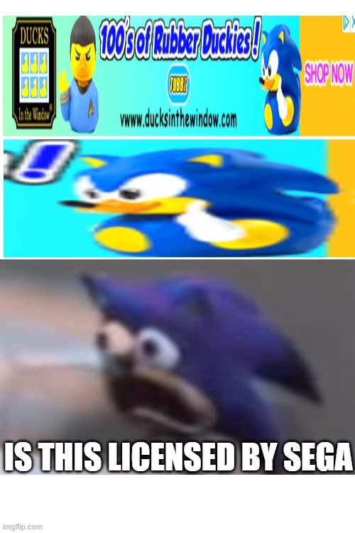 what is this go check it out | IS THIS LICENSED BY SEGA | image tagged in memes,funny memes,lol so funny,booty,bootleg | made w/ Imgflip meme maker