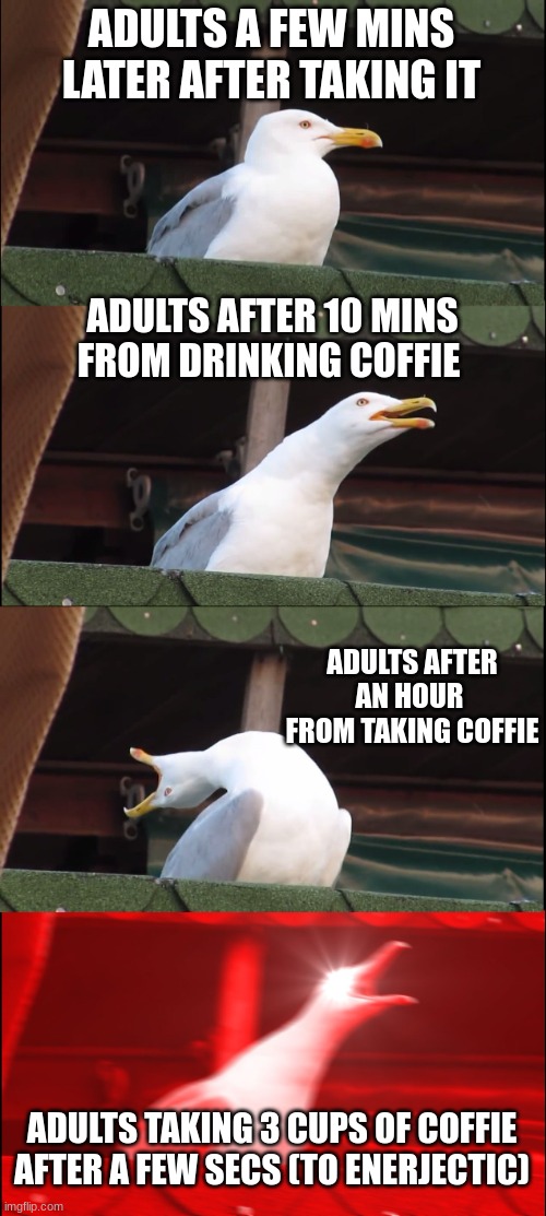 Inhaling Seagull | ADULTS A FEW MINS LATER AFTER TAKING IT; ADULTS AFTER 10 MINS FROM DRINKING COFFIE; ADULTS AFTER AN HOUR  FROM TAKING COFFIE; ADULTS TAKING 3 CUPS OF COFFIE AFTER A FEW SECS (TO ENERJECTIC) | image tagged in memes,inhaling seagull | made w/ Imgflip meme maker