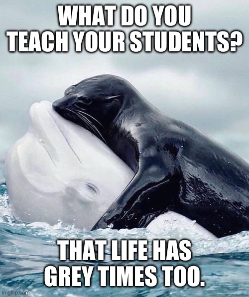 Life is not always black and white | WHAT DO YOU TEACH YOUR STUDENTS? THAT LIFE HAS GREY TIMES TOO. | image tagged in teaching,life lessons | made w/ Imgflip meme maker