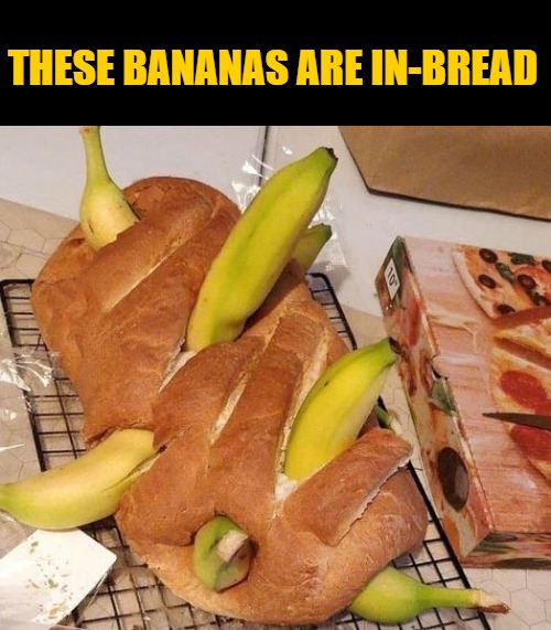 in-bread | THESE BANANAS ARE IN-BREAD | image tagged in bananas,in bread | made w/ Imgflip meme maker