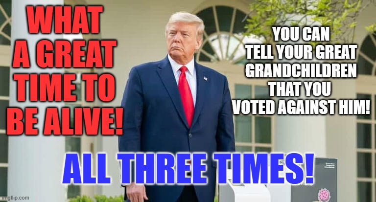 The GOP has lost Suburban Women, probably the military. What bloc will he turn-off next? | YOU CAN TELL YOUR GREAT GRANDCHILDREN THAT YOU  VOTED AGAINST HIM! WHAT A GREAT TIME TO BE ALIVE! ALL THREE TIMES! | image tagged in politics | made w/ Imgflip meme maker