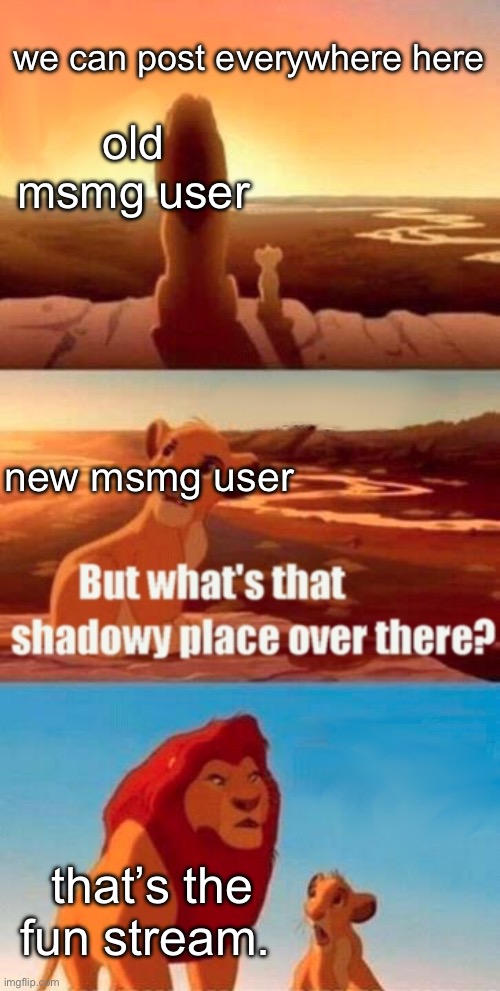 Simba Shadowy Place Meme | we can post everywhere here; old msmg user; new msmg user; that’s the fun stream. | image tagged in memes,simba shadowy place | made w/ Imgflip meme maker