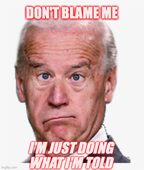 Puppet | DON'T BLAME ME; I'M JUST DOING WHAT I'M TOLD | image tagged in joe biden,funny | made w/ Imgflip meme maker