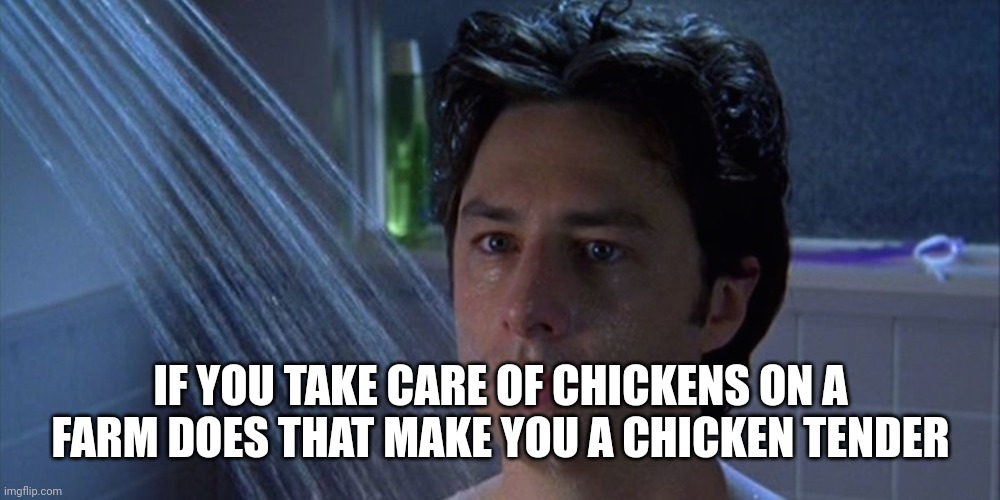 shower thoughts | IF YOU TAKE CARE OF CHICKENS ON A FARM DOES THAT MAKE YOU A CHICKEN TENDER | image tagged in shower thoughts | made w/ Imgflip meme maker