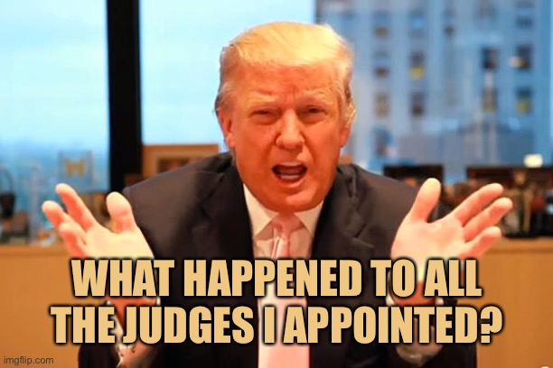 trump birthday meme | WHAT HAPPENED TO ALL THE JUDGES I APPOINTED? | image tagged in trump birthday meme | made w/ Imgflip meme maker