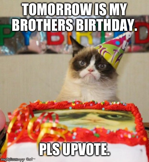 Upvote. | TOMORROW IS MY BROTHERS BIRTHDAY. PLS UPVOTE. | image tagged in memes,grumpy cat birthday,grumpy cat | made w/ Imgflip meme maker