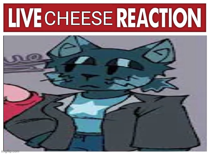 Live reaction | CHEESE | image tagged in live reaction | made w/ Imgflip meme maker