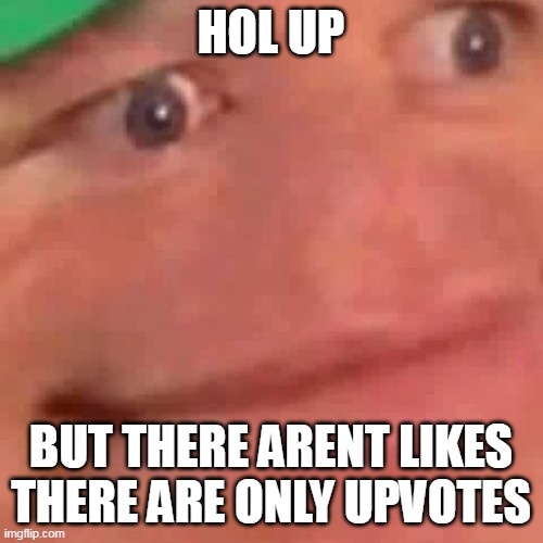 Wait Hol Up | HOL UP BUT THERE ARENT LIKES THERE ARE ONLY UPVOTES | image tagged in wait hol up | made w/ Imgflip meme maker