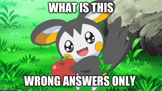 Cute Emolga | WHAT IS THIS; WRONG ANSWERS ONLY | image tagged in cute emolga | made w/ Imgflip meme maker