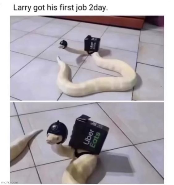 You can do it Larry! | image tagged in memes,funny | made w/ Imgflip meme maker