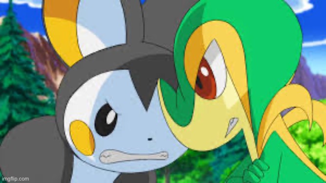 Caption this | image tagged in emolga and snivy | made w/ Imgflip meme maker