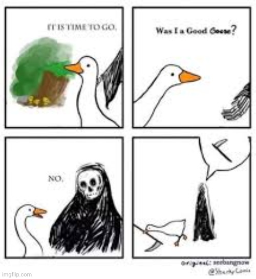 Honk | image tagged in goose | made w/ Imgflip meme maker