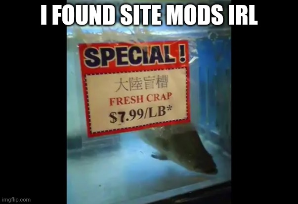fresh crap | I FOUND SITE MODS IRL | image tagged in fresh crap | made w/ Imgflip meme maker