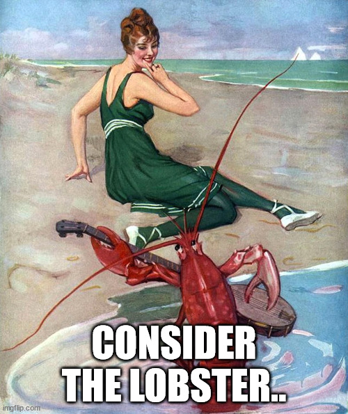 Consider the lobster | CONSIDER THE LOBSTER.. | image tagged in lobstrosity | made w/ Imgflip meme maker