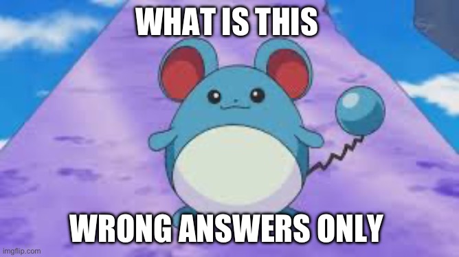 Marill | WHAT IS THIS; WRONG ANSWERS ONLY | image tagged in marill | made w/ Imgflip meme maker