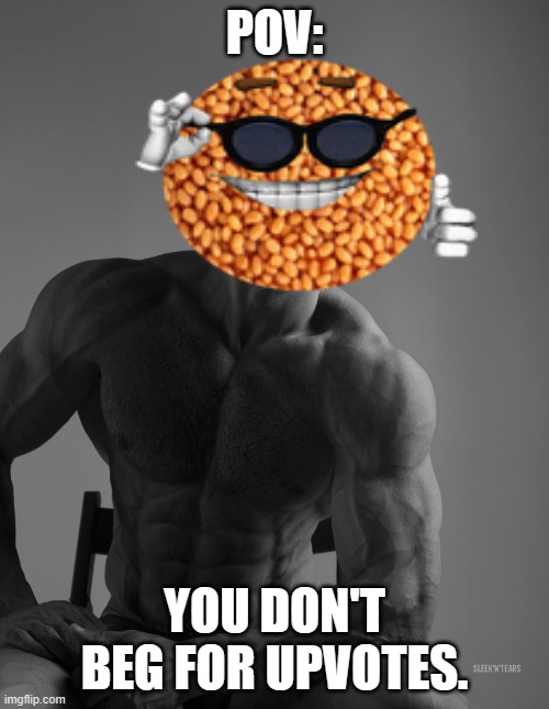Giga Chad | POV:; YOU DON'T BEG FOR UPVOTES. | image tagged in giga chad | made w/ Imgflip meme maker