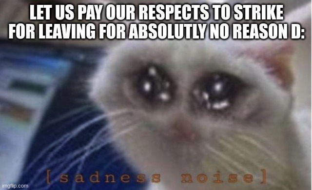 If you see this strike, why would you leave | LET US PAY OUR RESPECTS TO STRIKE
FOR LEAVING FOR ABSOLUTLY NO REASON D: | image tagged in mega sad cat | made w/ Imgflip meme maker