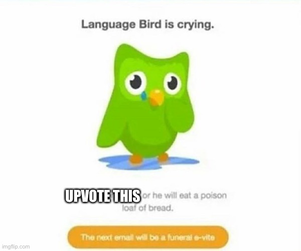 Do what is says | UPVOTE THIS | image tagged in duolingo bird | made w/ Imgflip meme maker