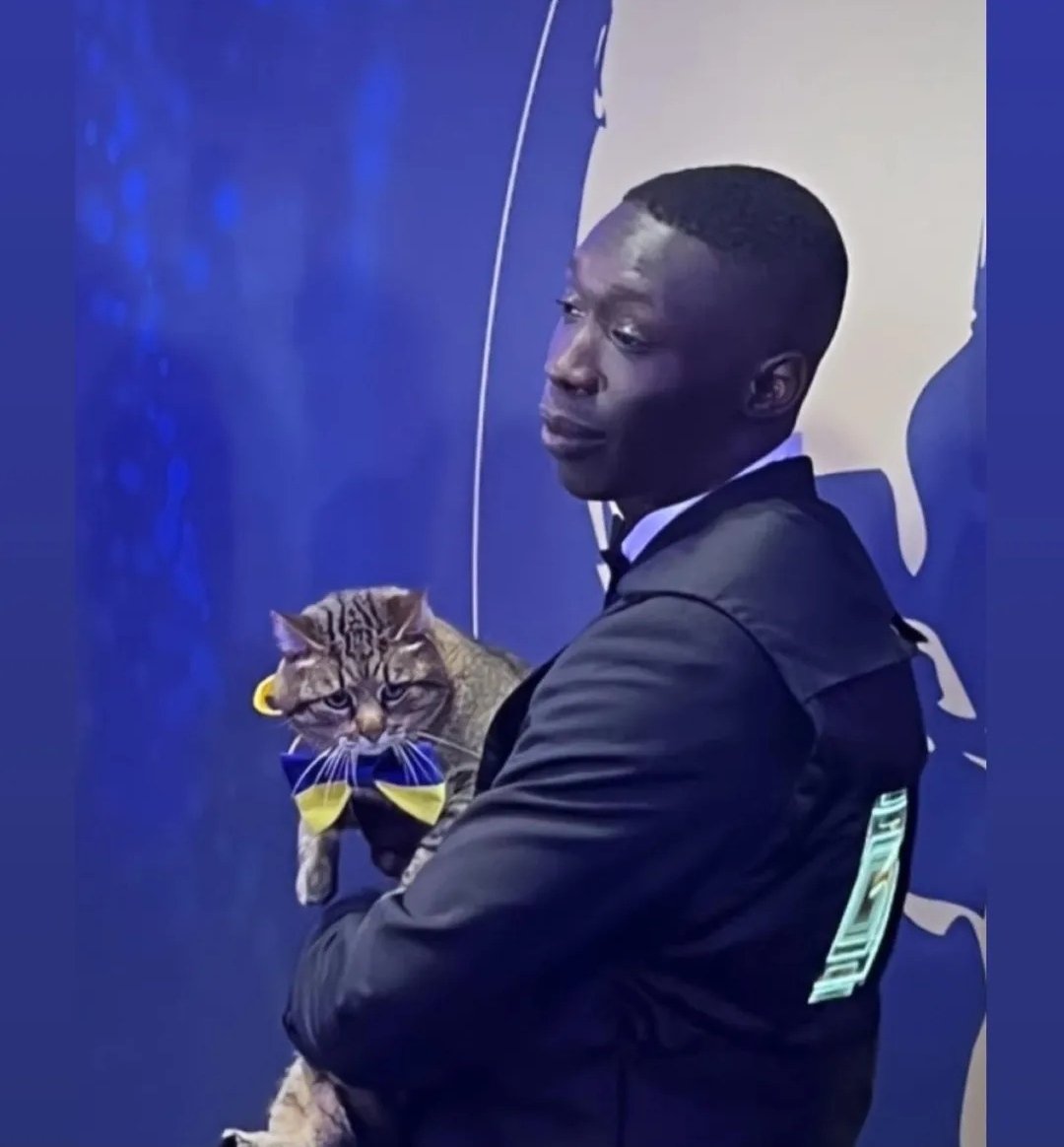 Stepan cat Blank Meme Template