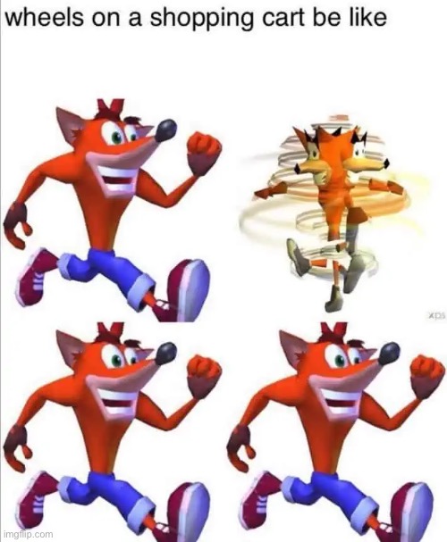 image tagged in crash bandicoot | made w/ Imgflip meme maker