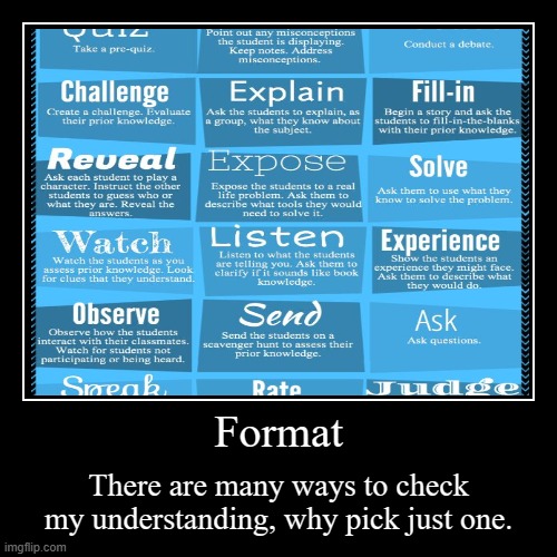 Format | There are many ways to check my understanding, why pick just one. | image tagged in funny,demotivationals | made w/ Imgflip demotivational maker