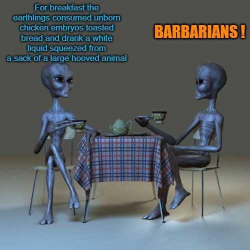 earthling breakfast | BARBARIANS ! For breakfast the earthlings consumed unborn chicken embryos toasted bread and drank a white liquid squeezed from a sack of a large hooved animal | image tagged in alien view,kewlew | made w/ Imgflip meme maker