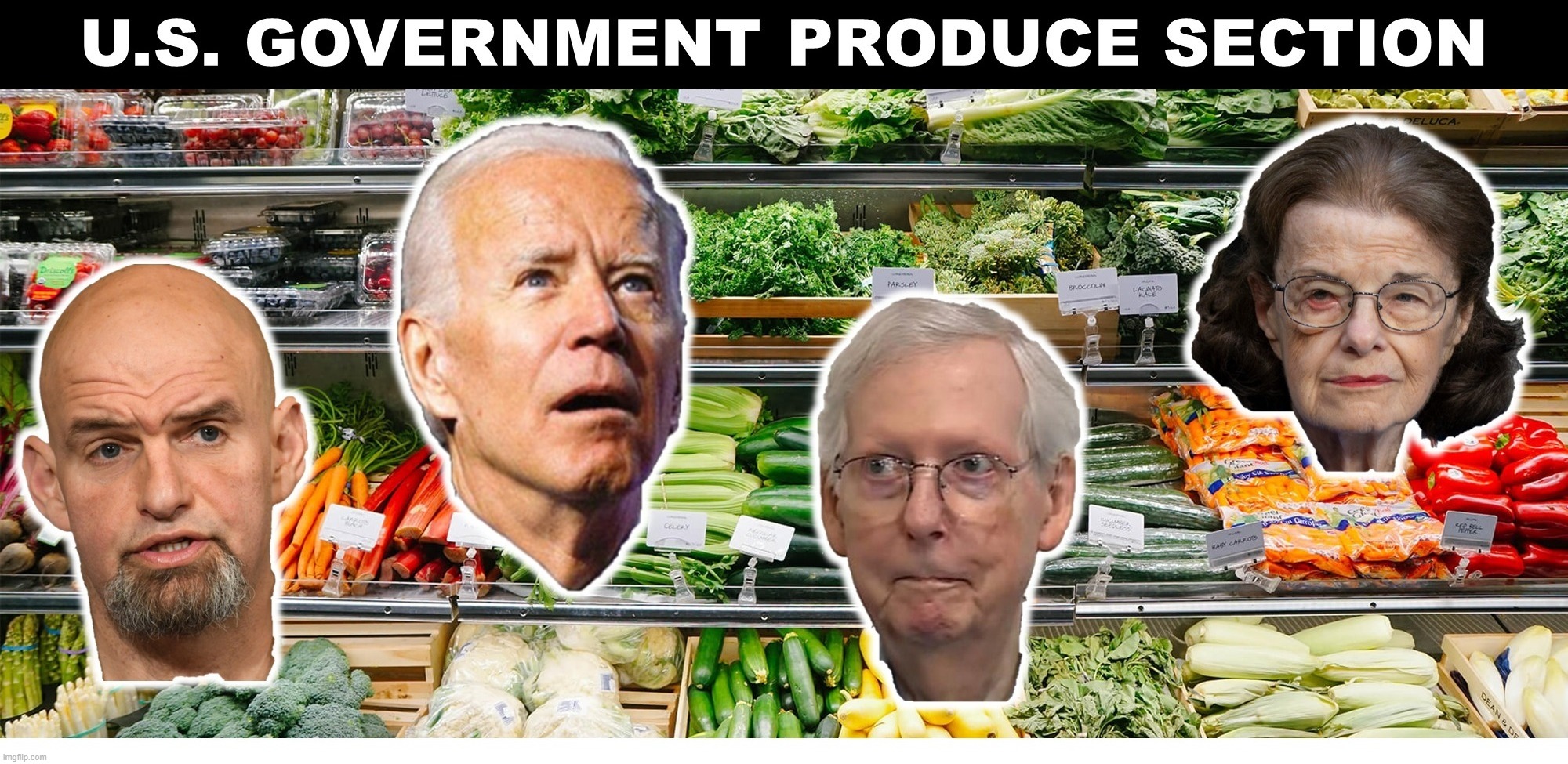 US Government Produce Section | image tagged in us government,vegetables,produce,veggietales 'allow us to introduce ourselfs',veggietales,dementia | made w/ Imgflip meme maker