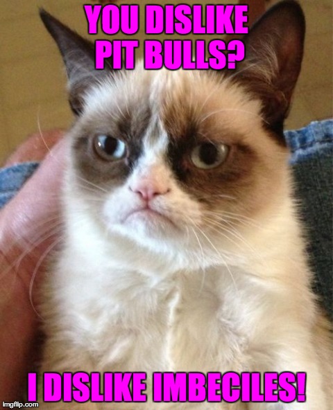 Grumpy Cat | YOU DISLIKE PIT BULLS? I DISLIKE IMBECILES! | image tagged in memes,grumpy cat | made w/ Imgflip meme maker