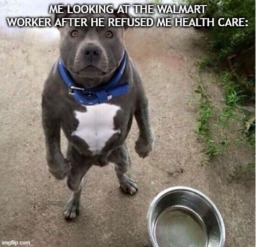 Hungry Dog | ME LOOKING AT THE WALMART WORKER AFTER HE REFUSED ME HEALTH CARE: | image tagged in hungry dog | made w/ Imgflip meme maker