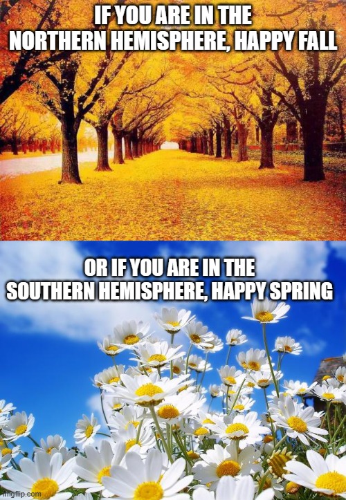 IF YOU ARE IN THE NORTHERN HEMISPHERE, HAPPY FALL; OR IF YOU ARE IN THE SOUTHERN HEMISPHERE, HAPPY SPRING | image tagged in autumn trees,spring daisy flowers,fall,spring | made w/ Imgflip meme maker