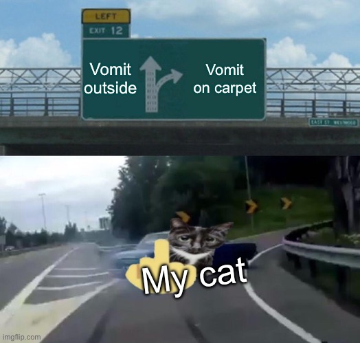 Left Exit 12 Off Ramp Meme | Vomit outside; Vomit on carpet; My cat | image tagged in memes,left exit 12 off ramp | made w/ Imgflip meme maker