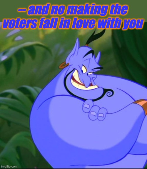 -- and no making the voters fall in love with you | image tagged in genie aladdin | made w/ Imgflip meme maker