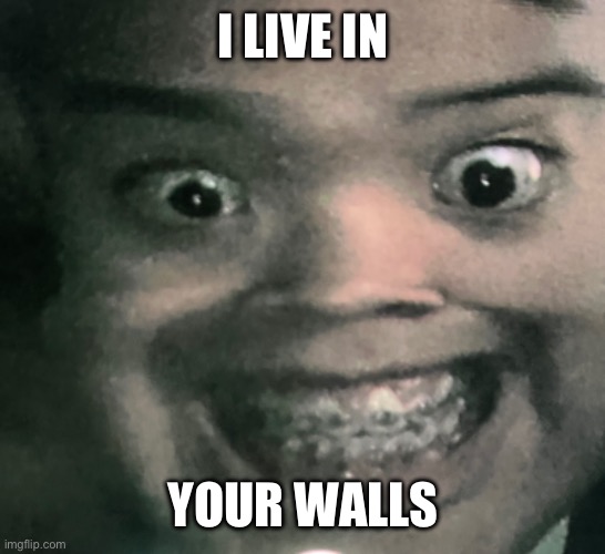 If you here knocking don’t bother | I LIVE IN; YOUR WALLS | image tagged in scary harry | made w/ Imgflip meme maker