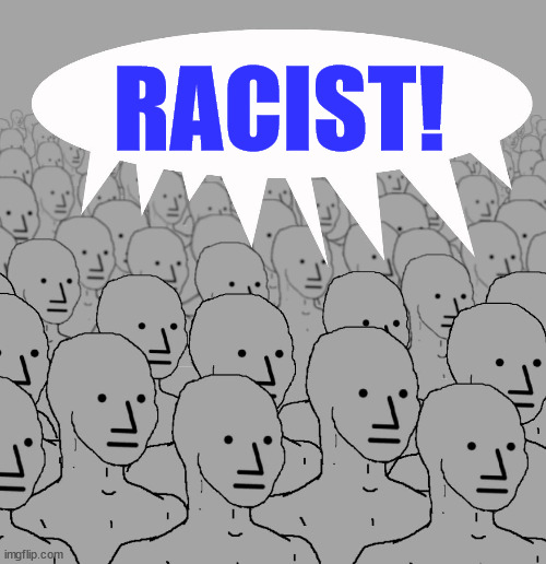 npc-crowd | RACIST! | image tagged in npc-crowd | made w/ Imgflip meme maker