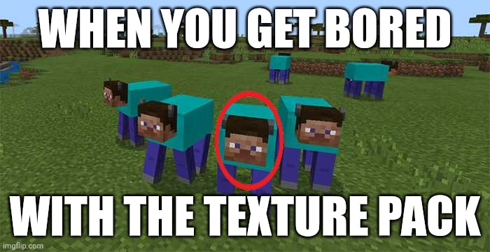 me and the boys | WHEN YOU GET BORED; WITH THE TEXTURE PACK | image tagged in me and the boys | made w/ Imgflip meme maker