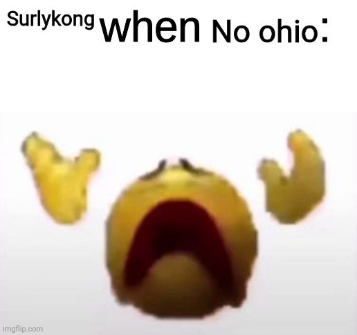 User When Offended: | No ohio; Surlykong | image tagged in user when offended | made w/ Imgflip meme maker