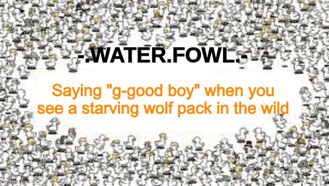 WFAT | Saying "g-good boy" when you see a starving wolf pack in the wild | image tagged in wfat | made w/ Imgflip meme maker