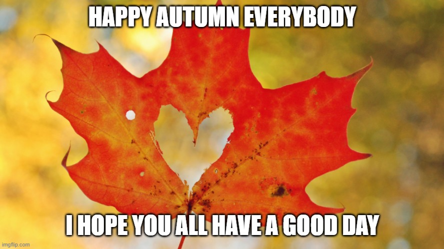free Khakhra | HAPPY AUTUMN EVERYBODY; I HOPE YOU ALL HAVE A GOOD DAY | image tagged in maple leaf heart | made w/ Imgflip meme maker