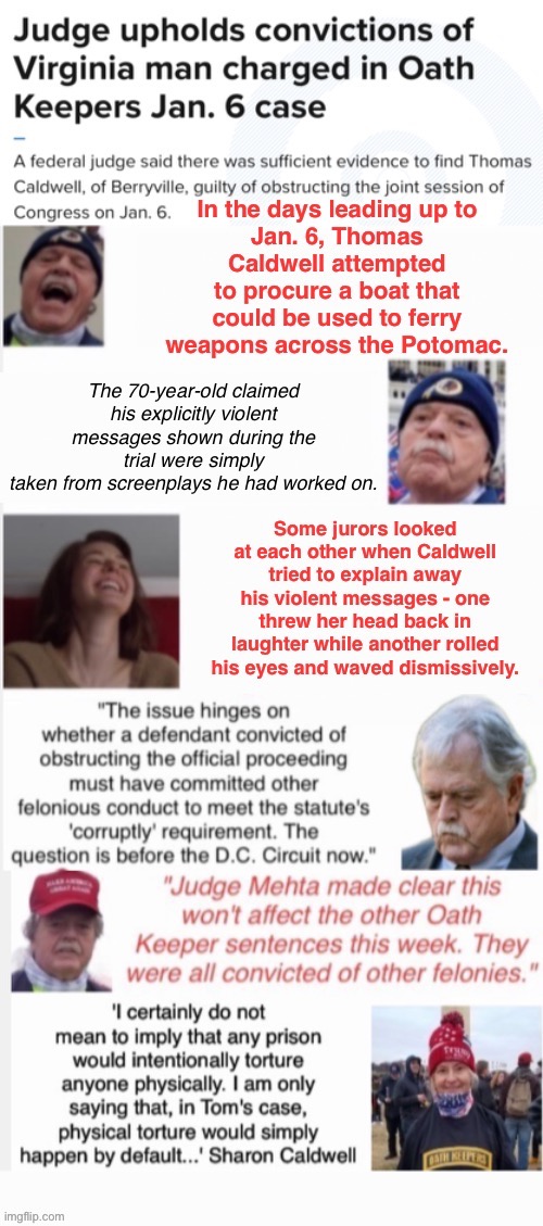 Sharon.......That's A Shame | image tagged in domestic terrorist | made w/ Imgflip meme maker