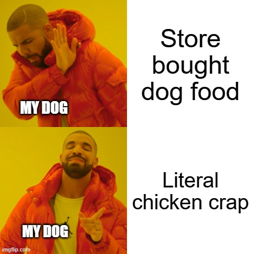 My dog | Store bought dog food; MY DOG; Literal chicken crap; MY DOG | image tagged in memes,drake hotline bling | made w/ Imgflip meme maker