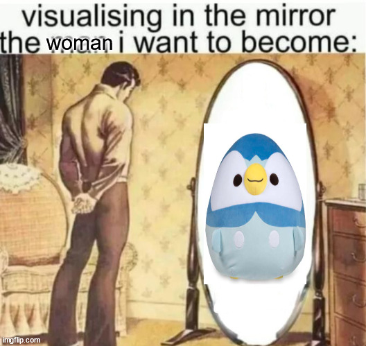 Visualising in the mirror the man i want to become: | woman | image tagged in visualising in the mirror the man i want to become | made w/ Imgflip meme maker