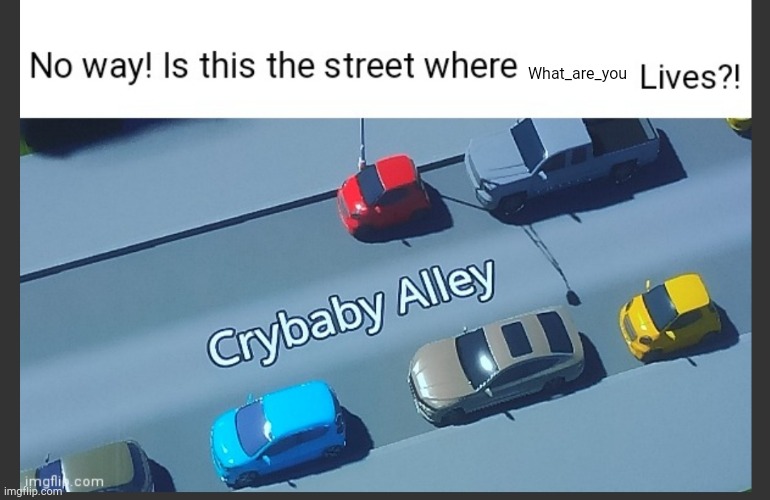 Is this the street where blank lives | What_are_you | image tagged in is this the street where blank lives | made w/ Imgflip meme maker